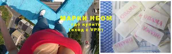 хмурый Алексин