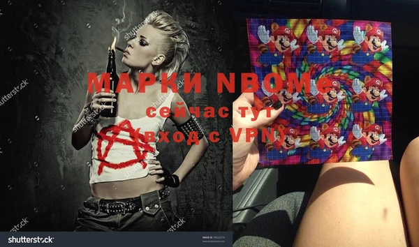 хмурый Алексин