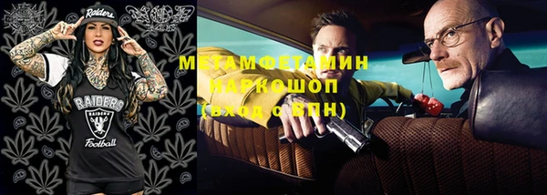хмурый Алексин